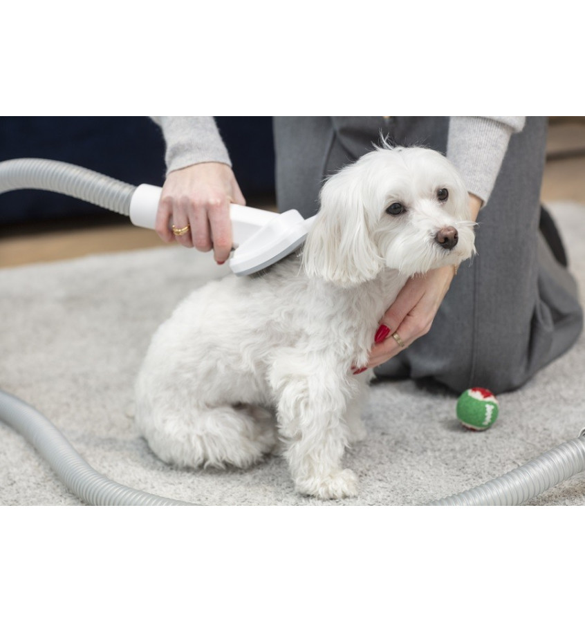 MOD-1000 Hunde- und Katzenstaubsauger
